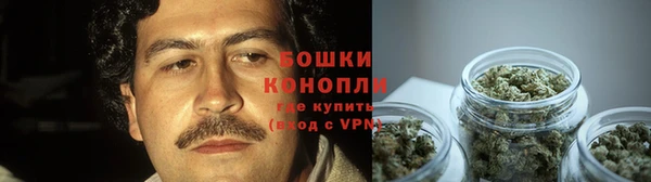 стаф Михайловск