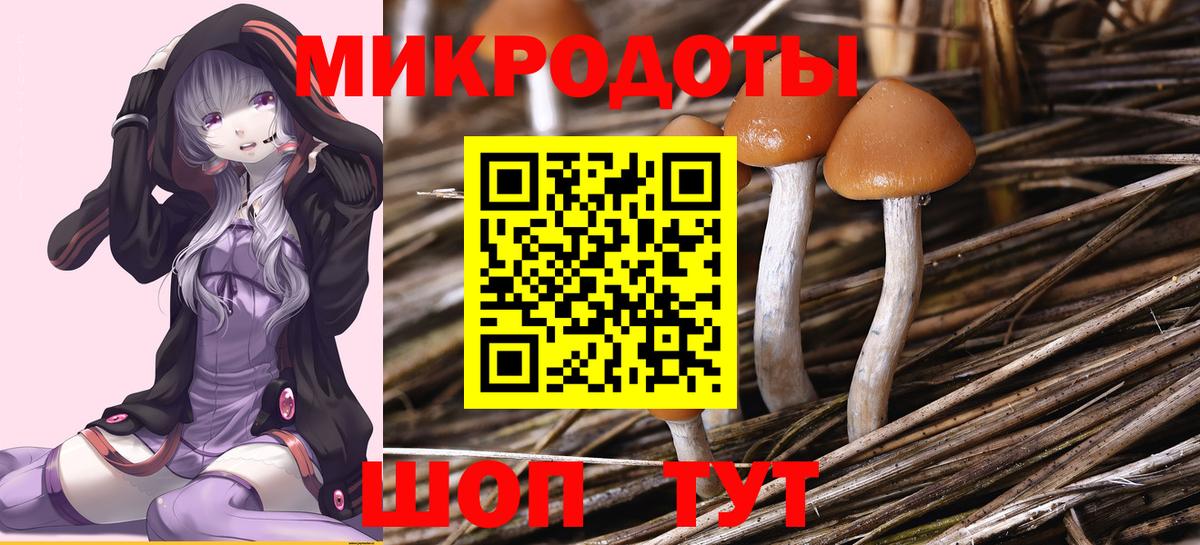 Алатырь  Галлюциногенные грибы MAGIC MUSHROOMS  Вход с VPN 
